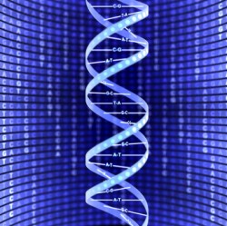 electronic dna